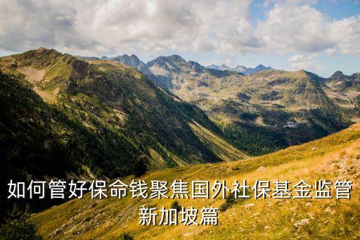 如何管好保命錢聚焦國外社?；鸨O(jiān)管新加坡篇