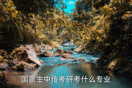 國(guó)畫(huà)生中傳考研考什么專業(yè)