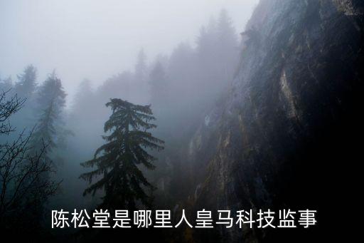 廣鐵集團(tuán)陳松,六盤(pán)水紅橋集團(tuán)陳松