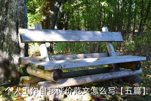 個(gè)人工作自我評(píng)價(jià)范文怎么寫(xiě)【五篇】