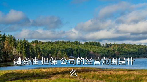融資擔保公司屬于金融機構(gòu)嗎,中小企業(yè)融資擔保公司是金融機構(gòu)嗎