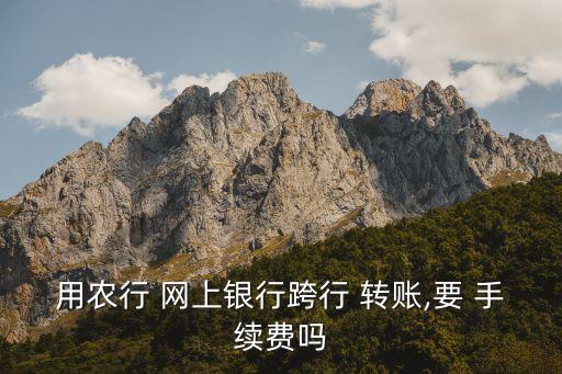中國農(nóng)業(yè)銀行網(wǎng)上轉賬要手續(xù)費