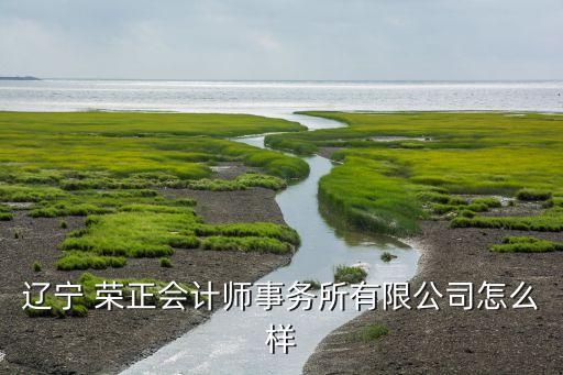 遼寧 榮正會(huì)計(jì)師事務(wù)所有限公司怎么樣