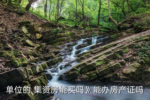 單位的 集資房能買(mǎi)嗎》能辦房產(chǎn)證嗎
