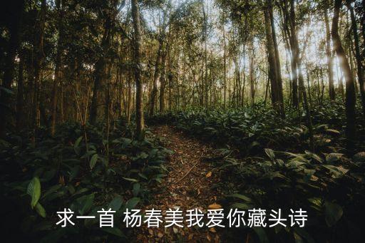 求一首 楊春美我愛你藏頭詩(shī)