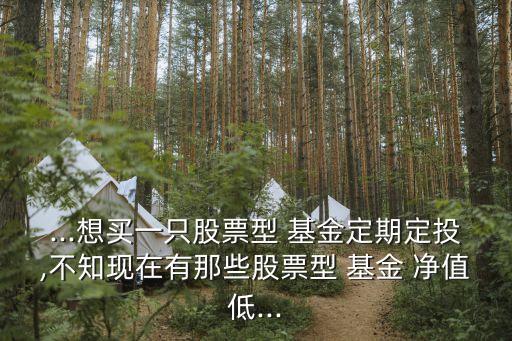 ...想買(mǎi)一只股票型 基金定期定投,不知現(xiàn)在有那些股票型 基金 凈值低...