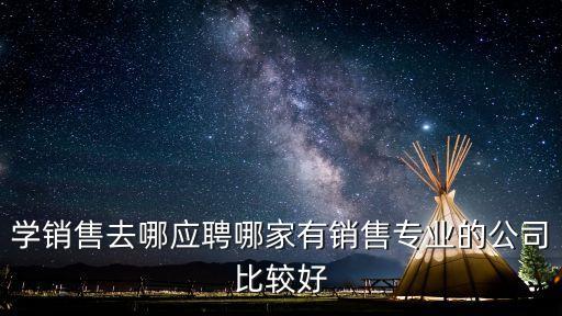 學銷售去哪應(yīng)聘哪家有銷售專業(yè)的公司比較好
