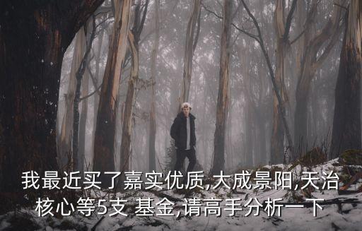 我最近買了嘉實優(yōu)質,大成景陽,天治核心等5支 基金,請高手分析一下