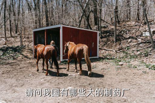 請(qǐng)問我國(guó)有哪些大的制藥廠