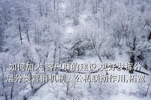 如何加大 客戶群的建設(shè),更好發(fā)揮分層分類營銷機(jī)制、公私聯(lián)動(dòng)作用,拓寬...