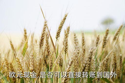  歐元現金,是否可以直接轉賬到國外