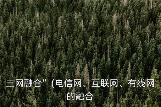 三網(wǎng)融合”(電信網(wǎng)、互聯(lián)網(wǎng)、有線網(wǎng)的融合