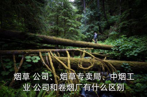  煙草 公司、 煙草專賣局、中煙工業(yè) 公司和卷煙廠有什么區(qū)別