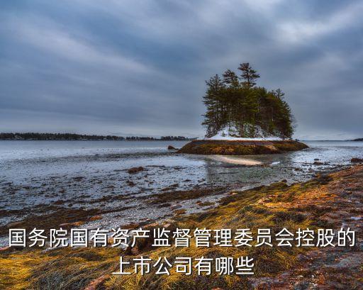 國務院國有資產(chǎn)監(jiān)督管理委員會控股的 上市公司有哪些