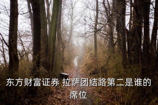 東方財富證券 拉薩團(tuán)結(jié)路第二是誰的席位