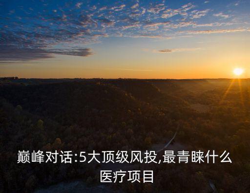 巔峰對(duì)話(huà):5大頂級(jí)風(fēng)投,最青睞什么 醫(yī)療項(xiàng)目