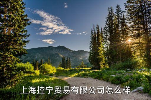 上?？貙庂Q(mào)易有限公司怎么樣
