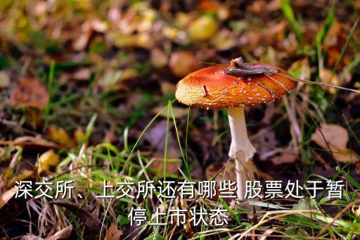 深交所、上交所還有哪些 股票處于暫停上市狀態(tài)