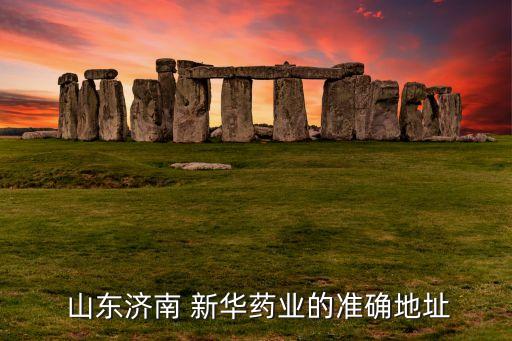  山東濟南 新華藥業(yè)的準(zhǔn)確地址