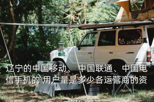遼寧的中國(guó)移動(dòng)、 中國(guó)聯(lián)通、中國(guó)電信手機(jī)的 用戶量是多少各運(yùn)營(yíng)商的資...
