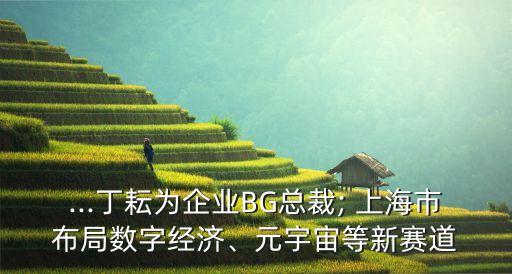 ...丁耘為企業(yè)BG總裁; 上海市布局數(shù)字經濟、元宇宙等新賽道