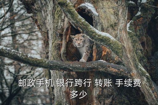  郵政手機 銀行跨行 轉賬 手續(xù)費多少