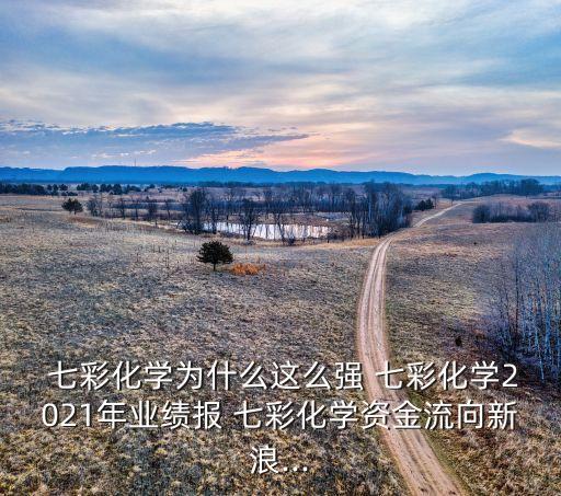  七彩化學(xué)為什么這么強(qiáng) 七彩化學(xué)2021年業(yè)績報(bào) 七彩化學(xué)資金流向新浪...