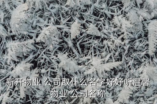 新開(kāi)物業(yè) 公司取什么名字好好聽(tīng)溫馨物業(yè) 公司名稱(chēng)