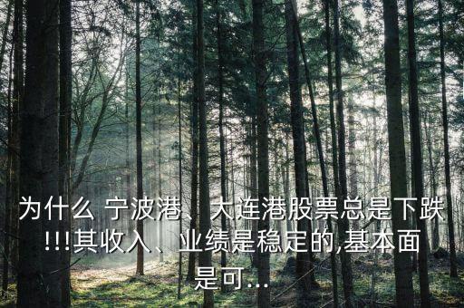 為什么 寧波港、大連港股票總是下跌!!!其收入、業(yè)績是穩(wěn)定的,基本面是可...