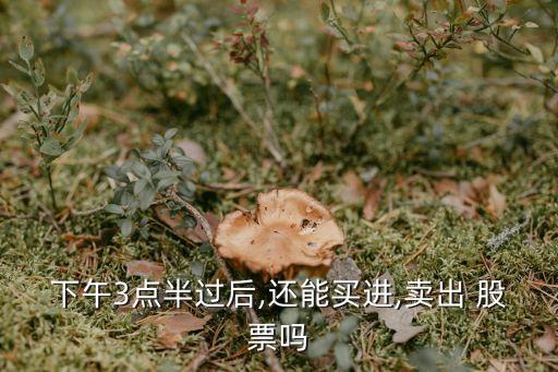 下午3點半過后,還能買進(jìn),賣出 股票嗎