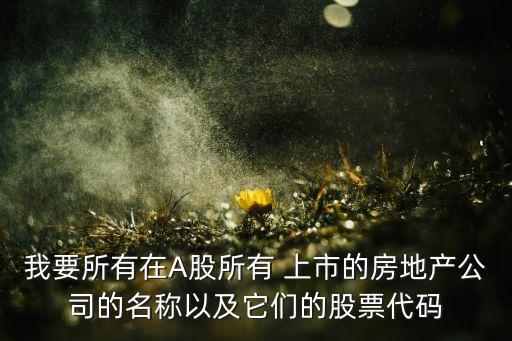 我要所有在A股所有 上市的房地產(chǎn)公司的名稱(chēng)以及它們的股票代碼