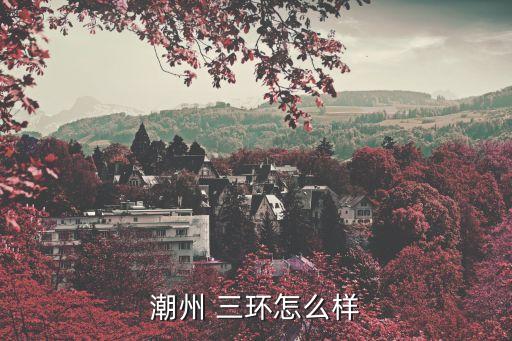 三環(huán)集團人員結構,阿里巴巴集團人員結構