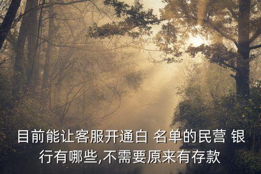 目前能讓客服開通白 名單的民營(yíng) 銀行有哪些,不需要原來(lái)有存款